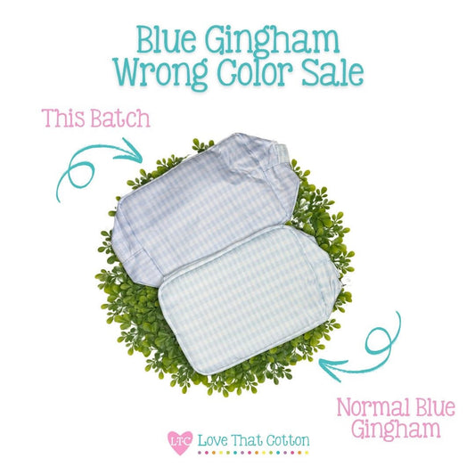 SALE (Wrong Color) Light Blue Gingham Nylon Luggage